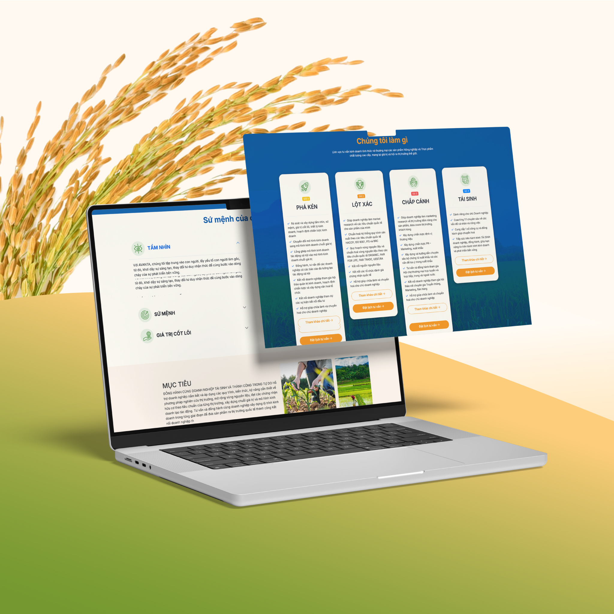 Avanta-mockup-03.jpg