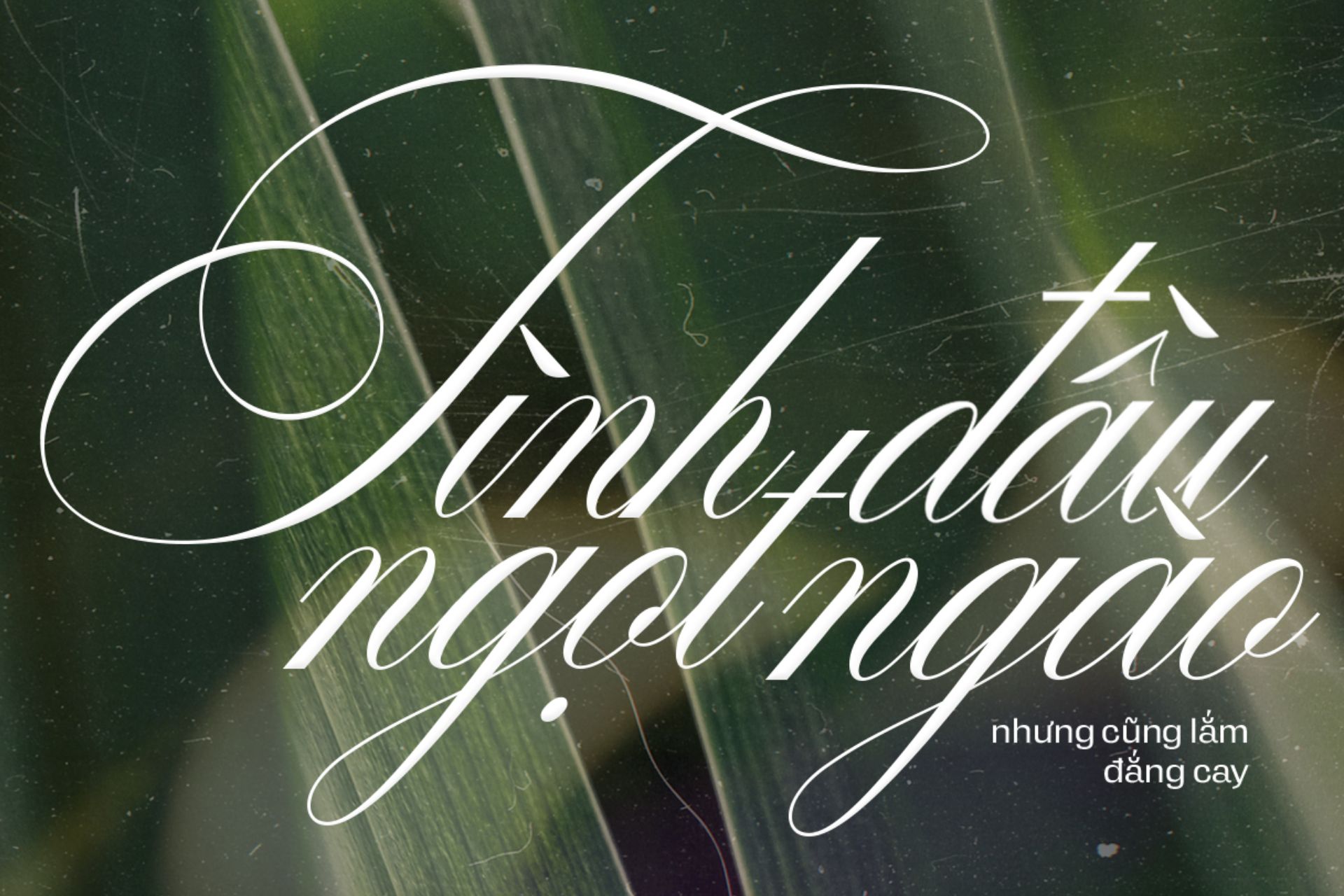 Font chữ năm 2026 (1).jpg Font chữ năm 2026 (1).jpg