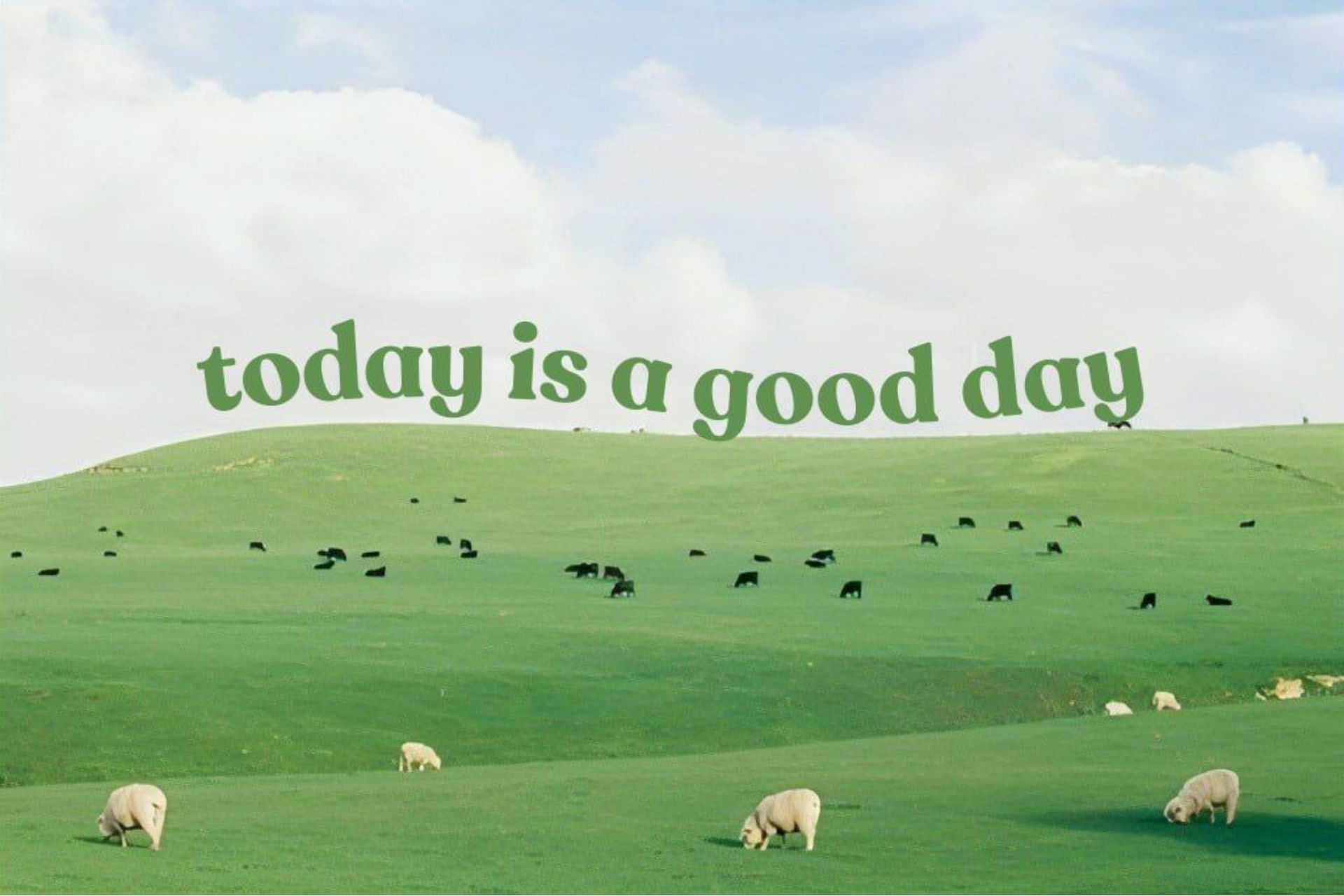 thiết kế Typography 7.jpg thiết kế Typography 7.jpg