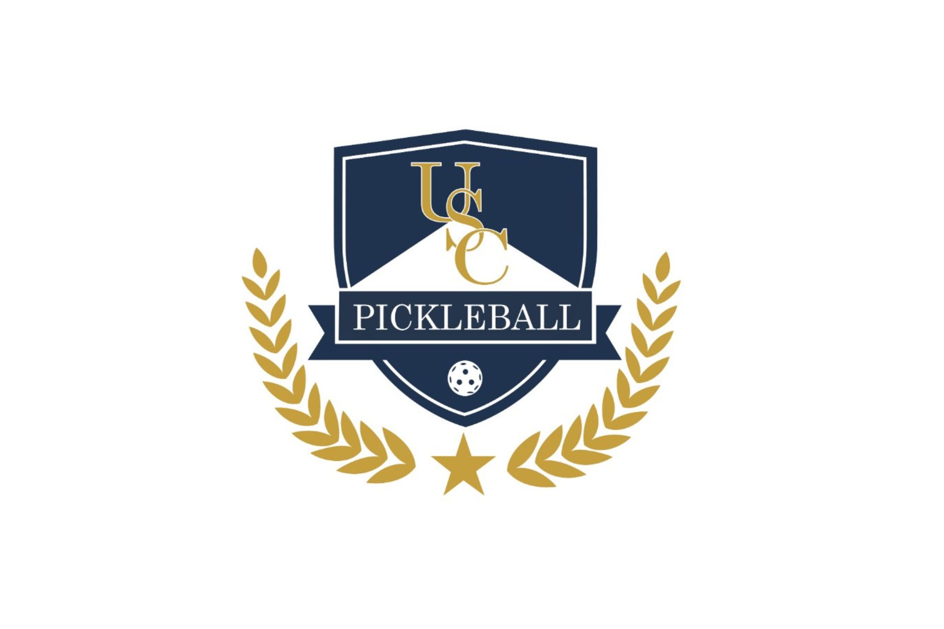 Thiết kế logo pickleball (9).jpg Thiết kế logo pickleball (9).jpg