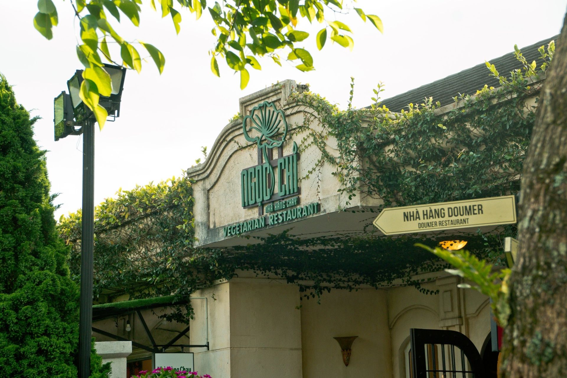 Thiết kế logo nhà hàng chay (4).jpg Thiết kế logo nhà hàng chay (4).jpg