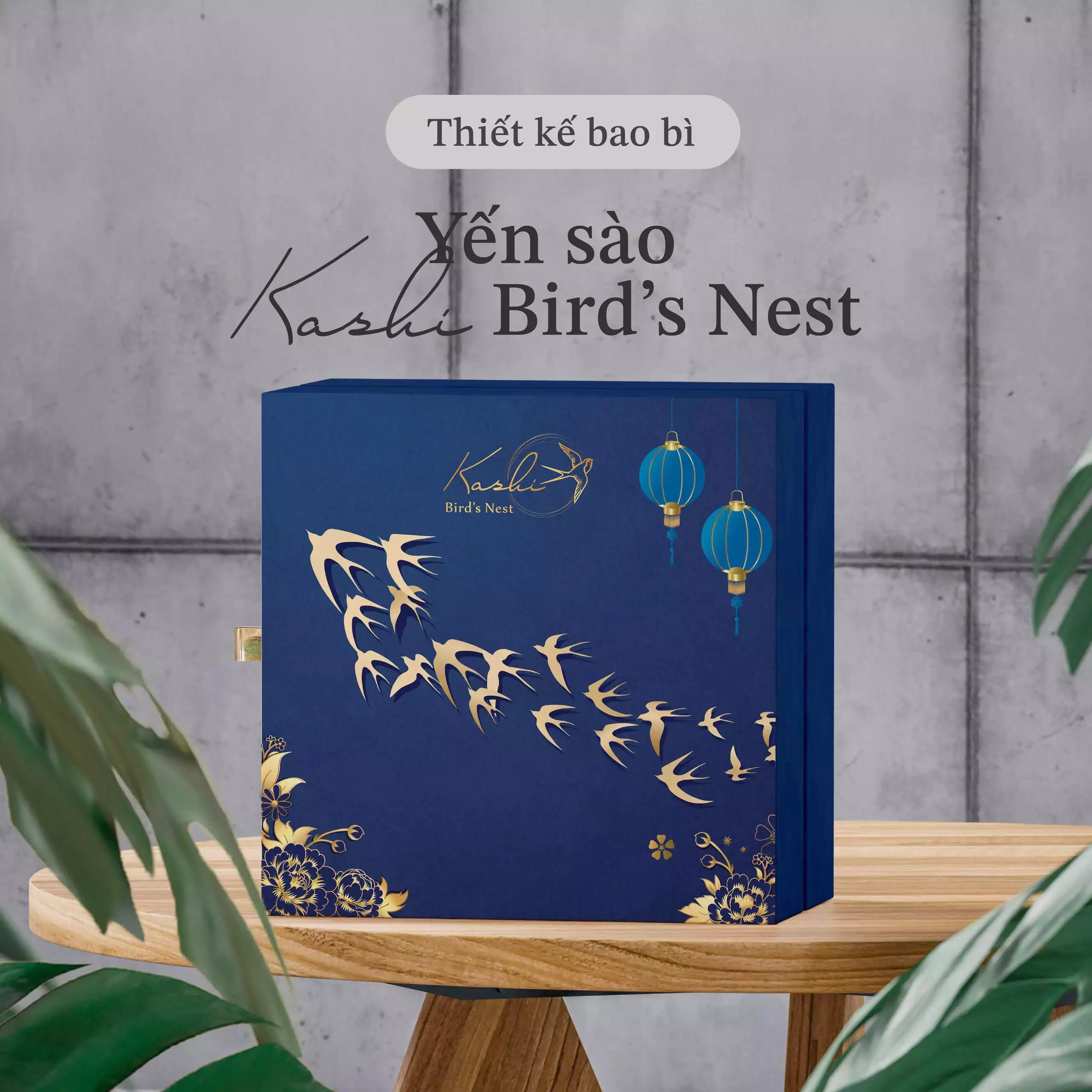 THIẾT KẾ BAO BÌ YẾN SÀO KASHI BIRD'S NEST