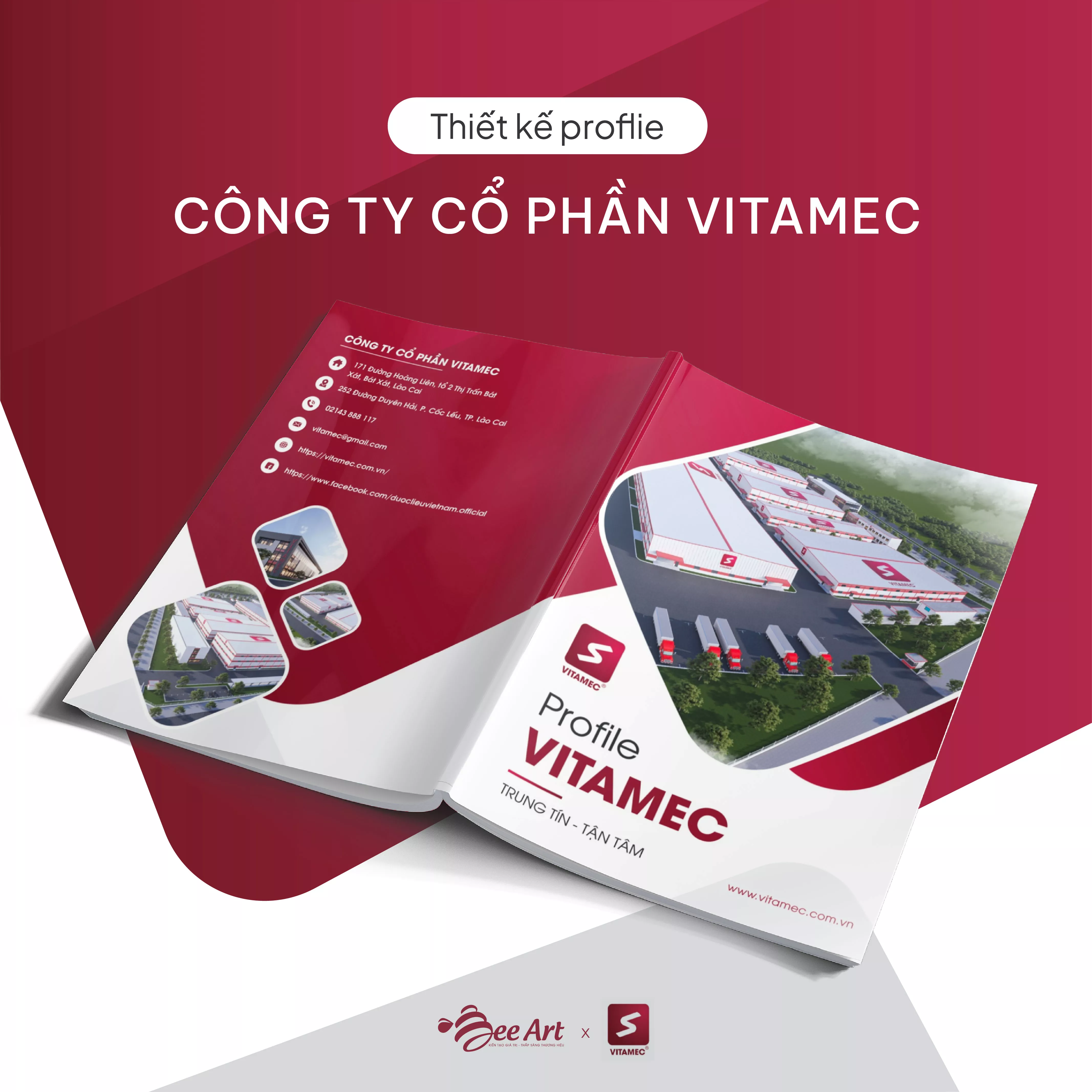 Thiết kế hồ sơ năng lực Công ty cổ phần Vitamec