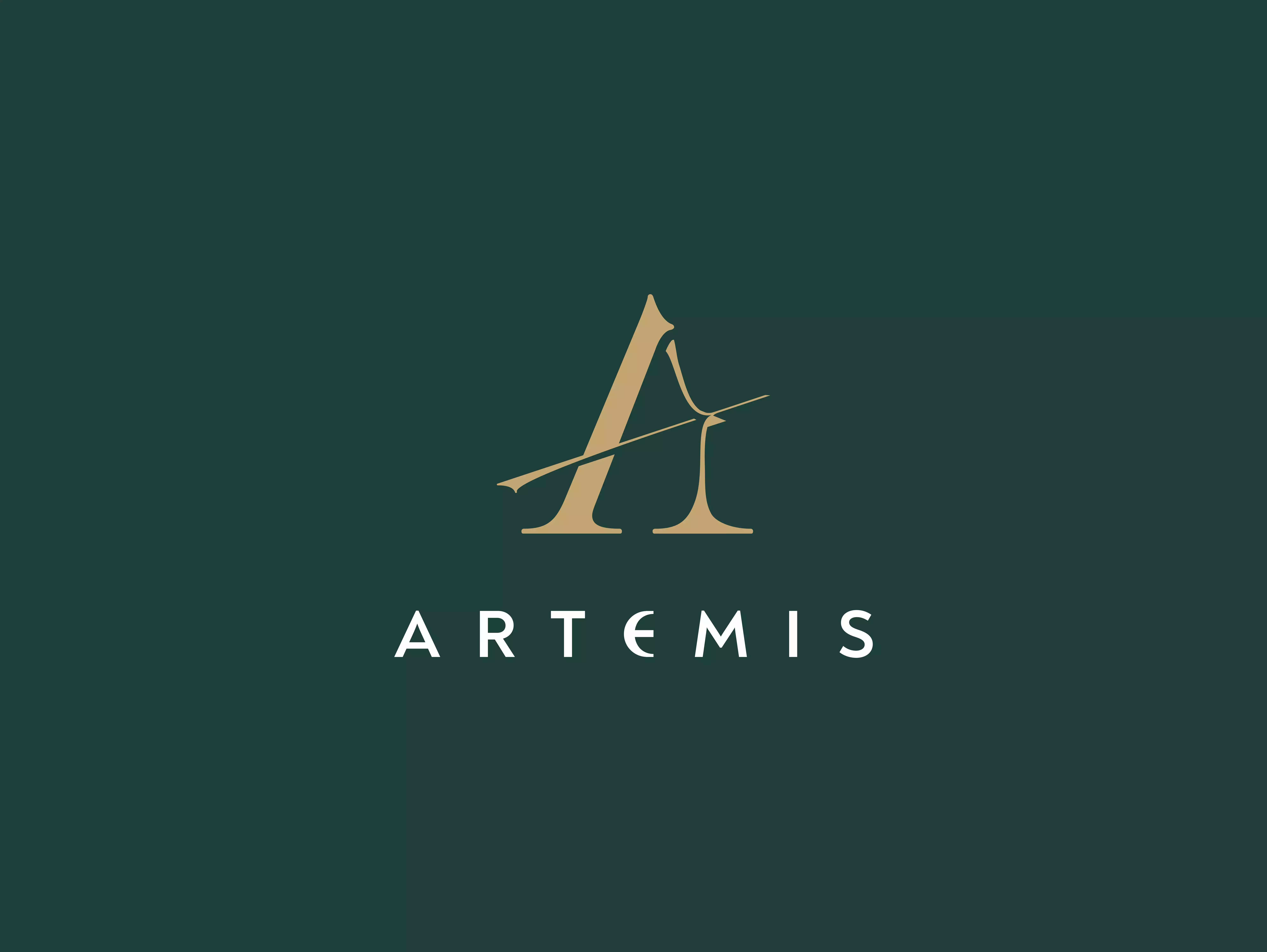 Thiết kế logo dự án Artemis
