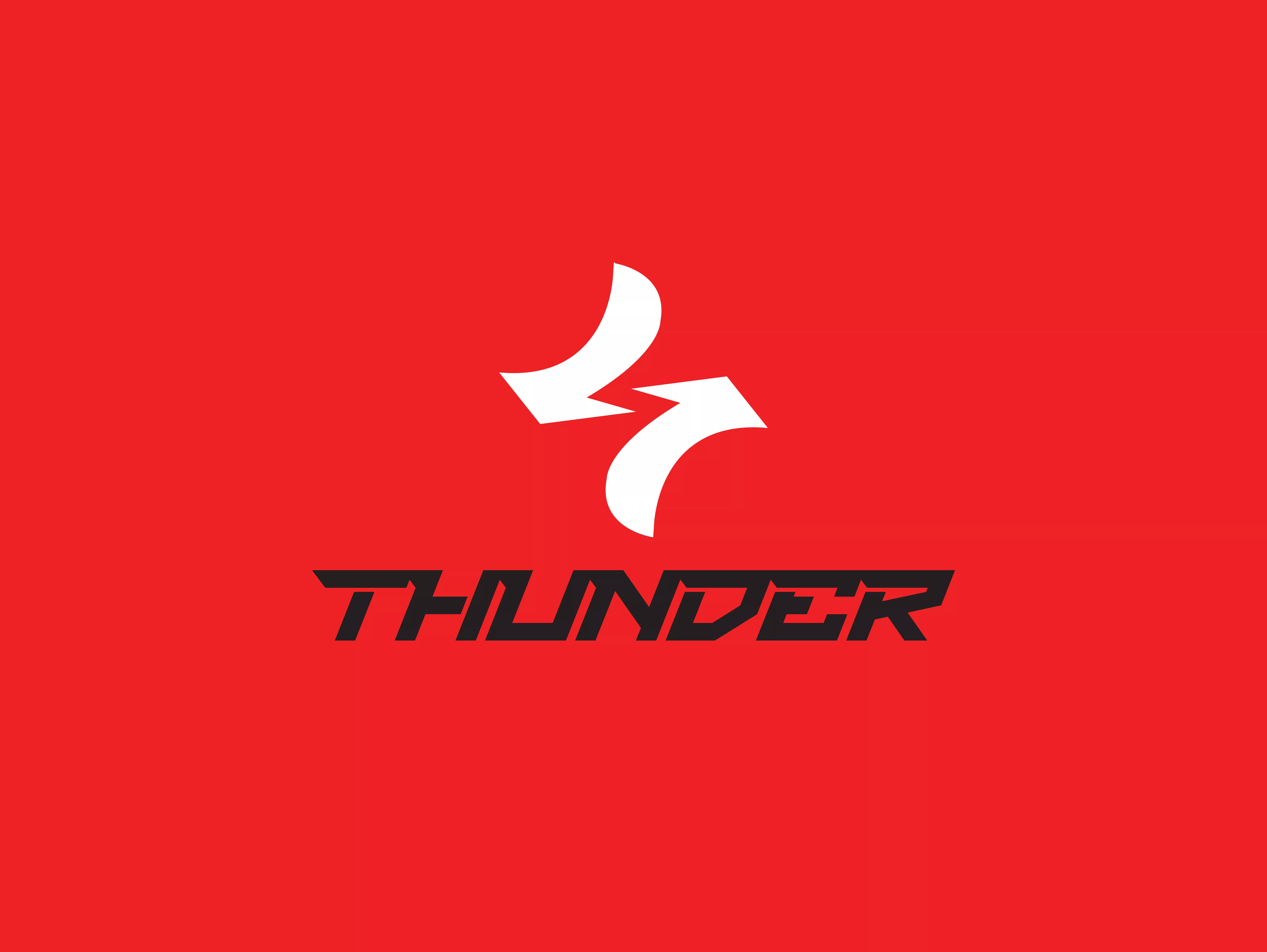 Thiết kế logo thương hiệu Thunder
