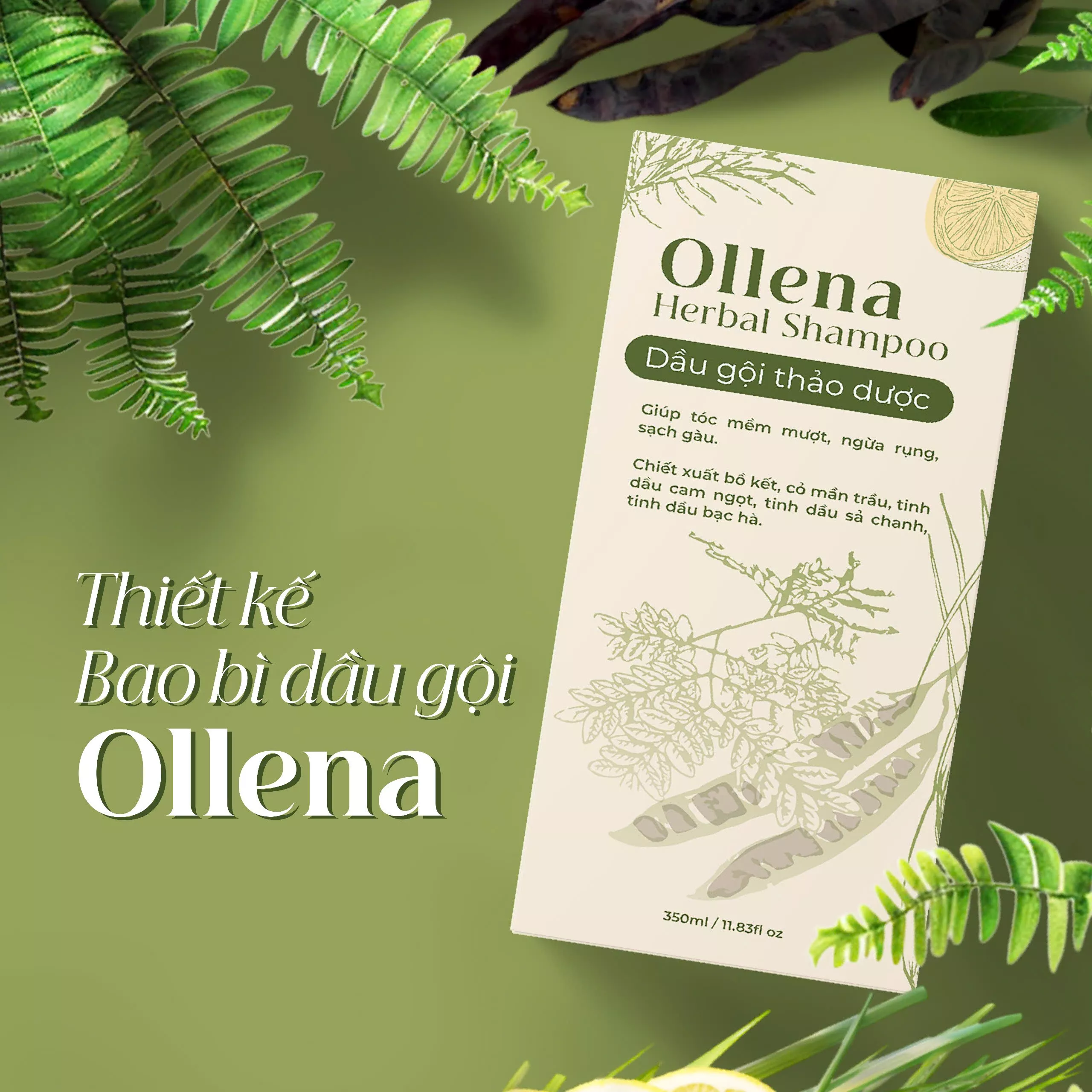 Thiết kế bao bì dầu gội thảo dược Ollena