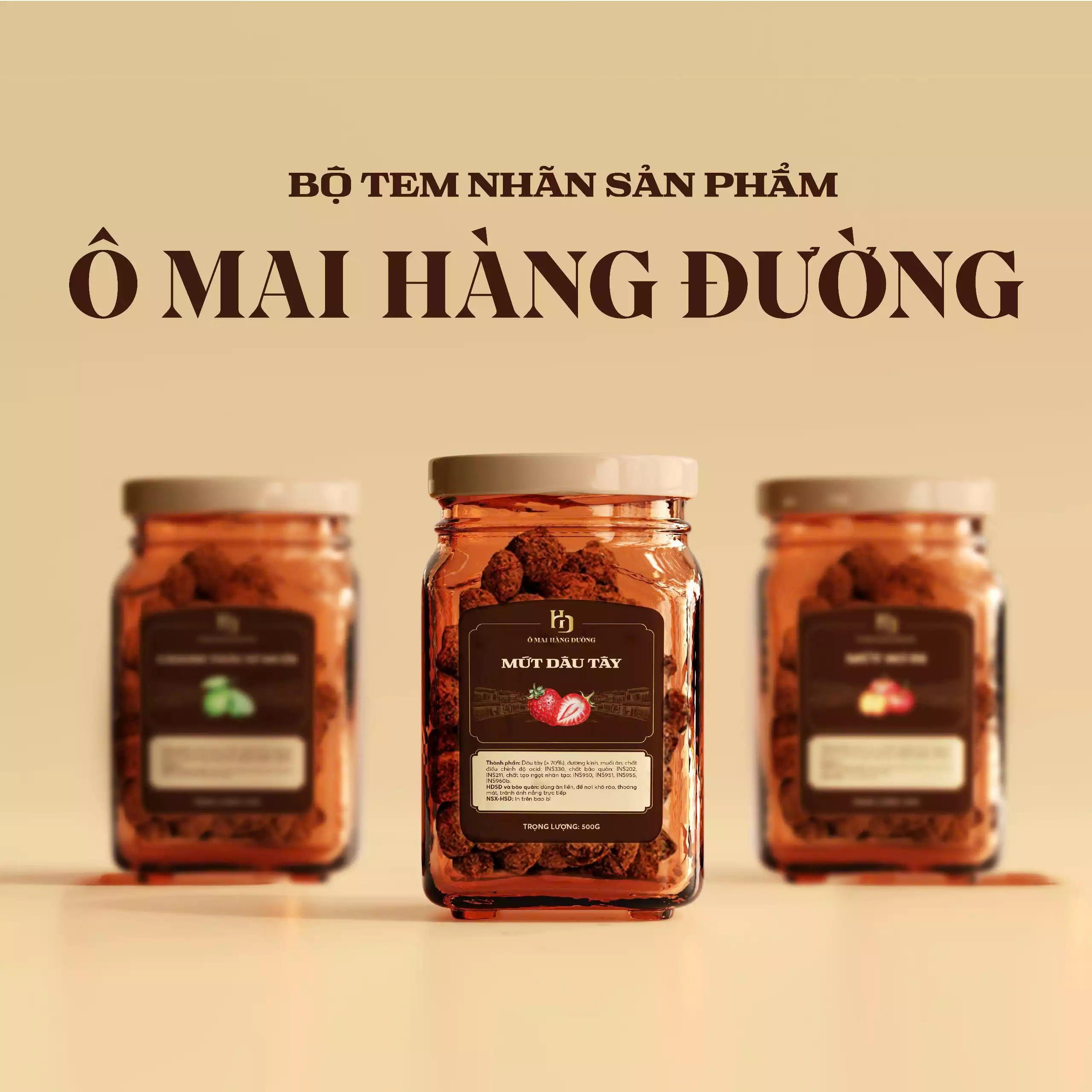 THIẾT KẾ BAO BÌ Ô MAI HÀNG ĐƯỜNG
