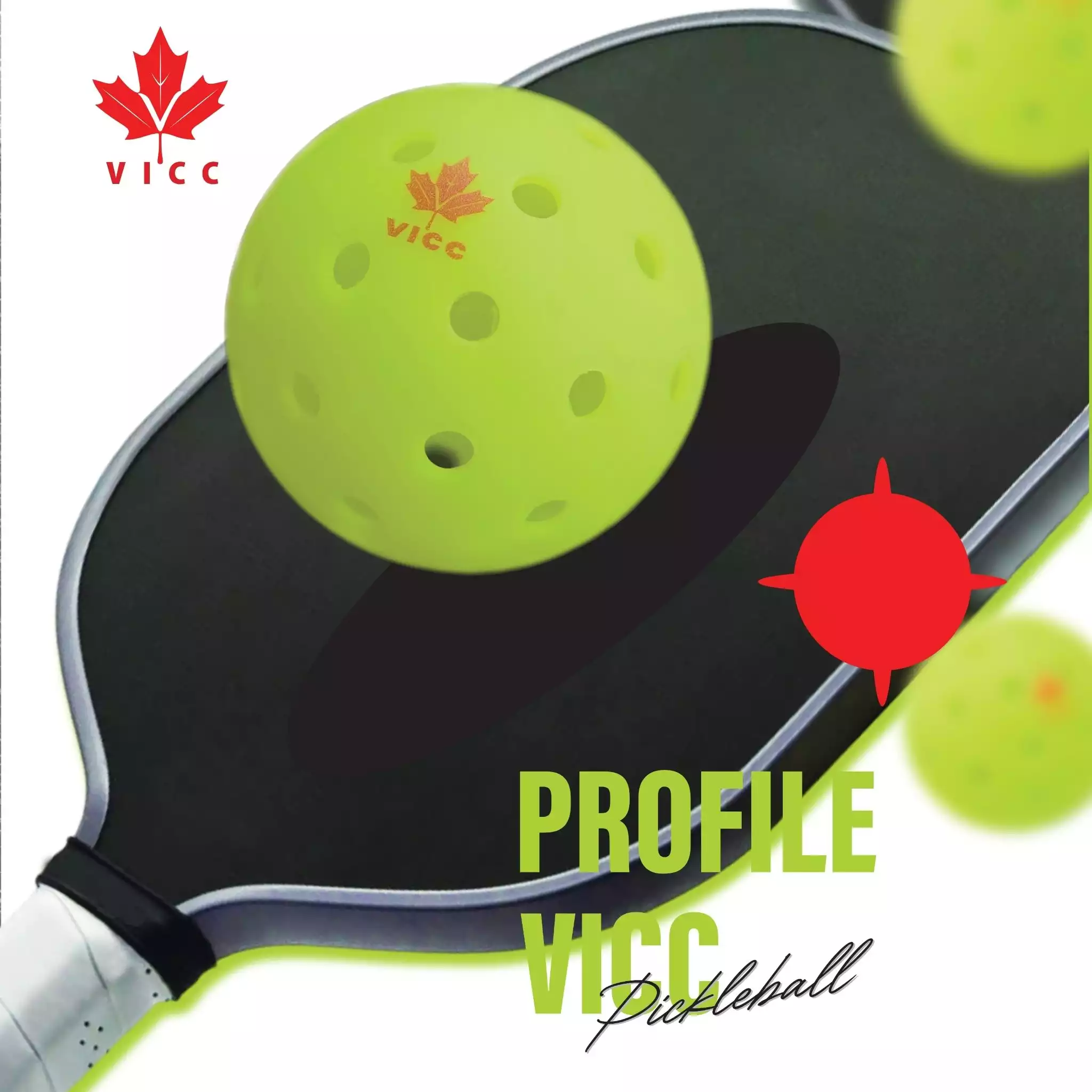 Thiết kế hồ sơ năng lực VICC Pickleball Việt Nam