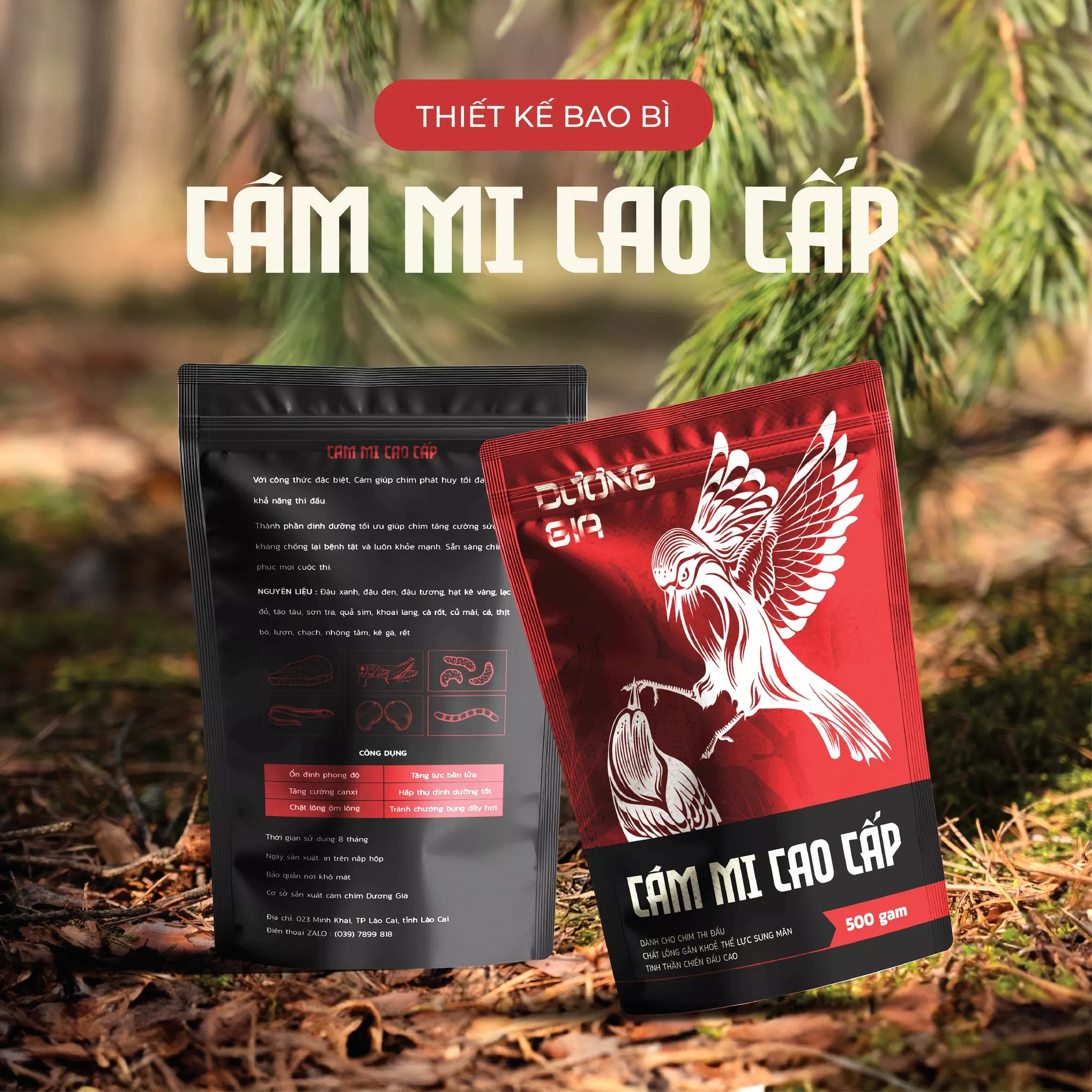 THIẾT KẾ BAO BÌ DỰ ÁN CÁM CHIM CAO CẤP