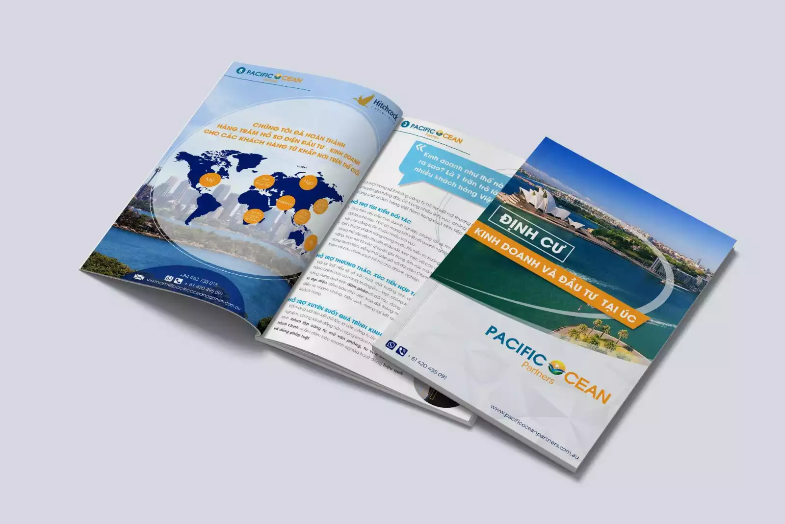 Thiết kế brochure Pacific Ocean