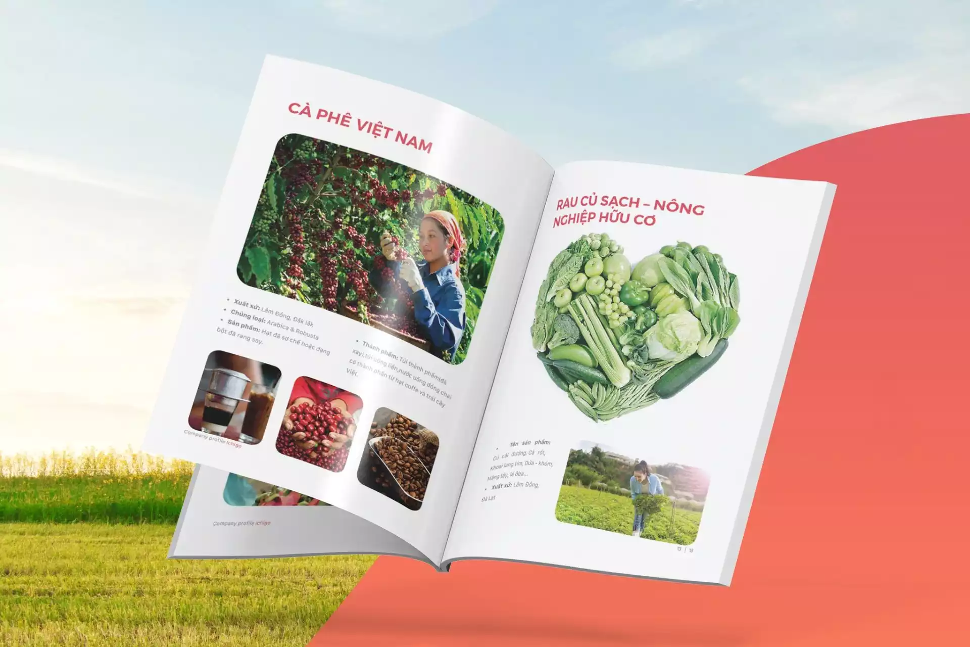 Thiết kế profile nông nghiệp cần lưu ý những gì