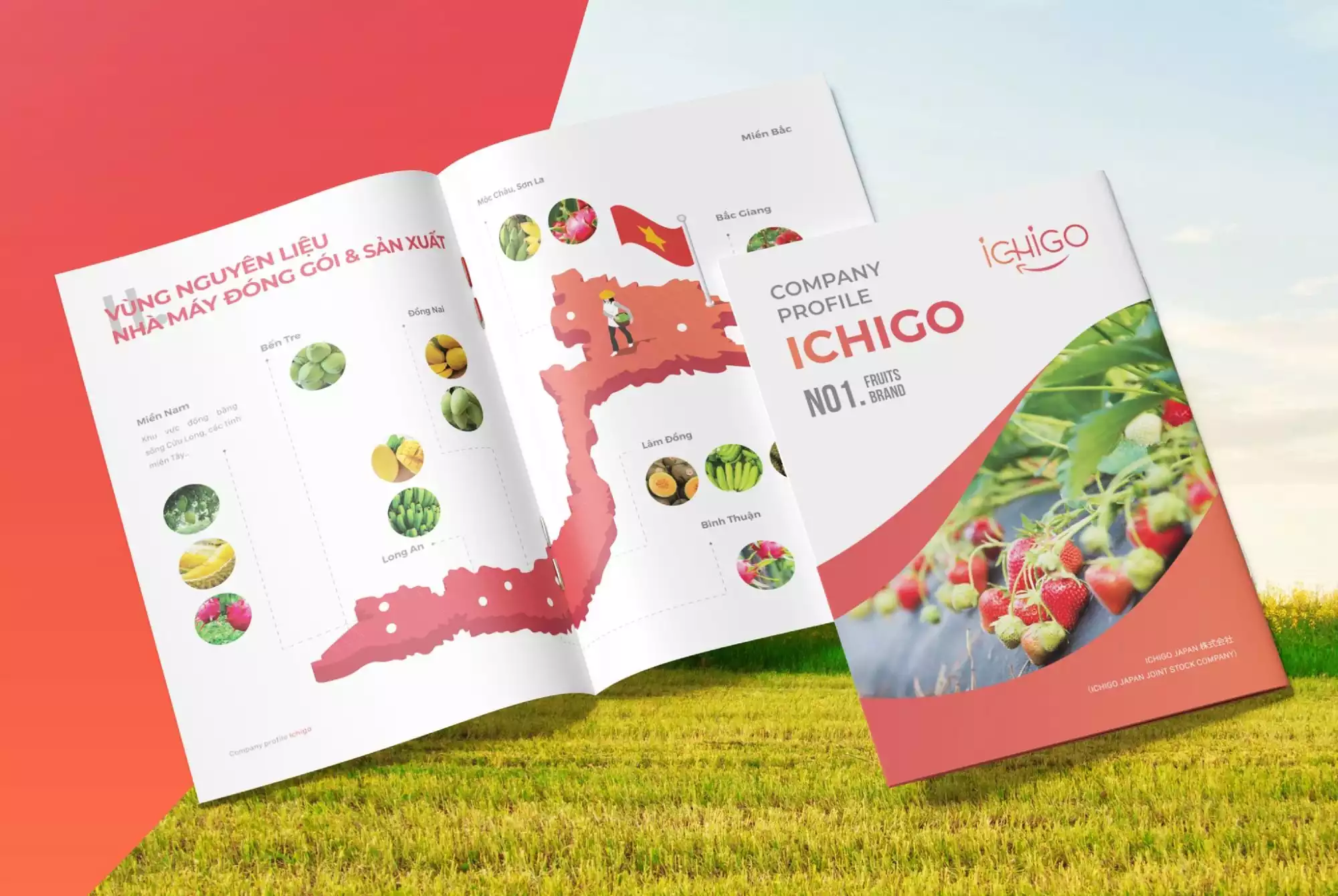 Thiết kế Profile Ichigo