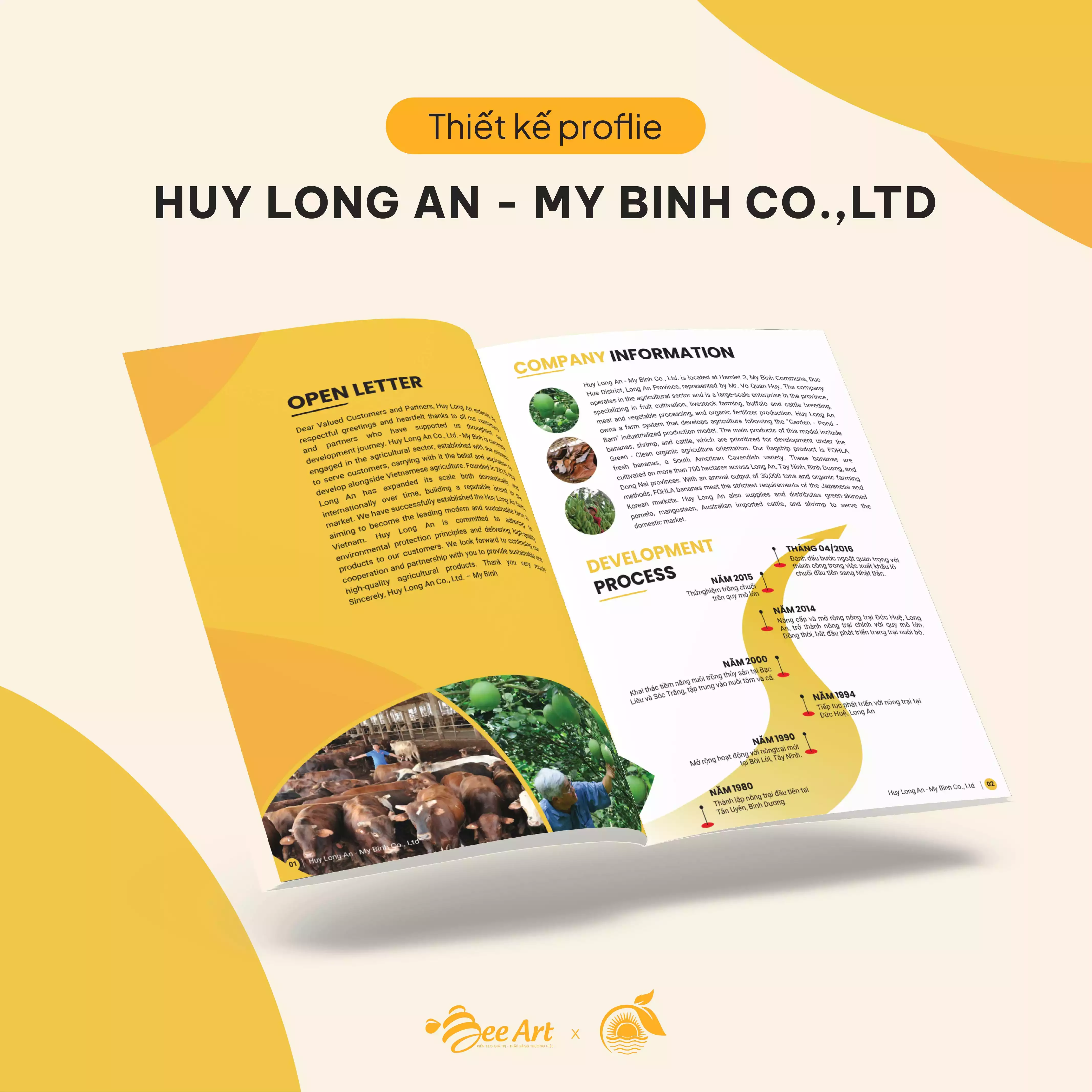 Thiết kế hồ sơ năng lực Công ty TNHH Huy Long An - Mỹ Bình