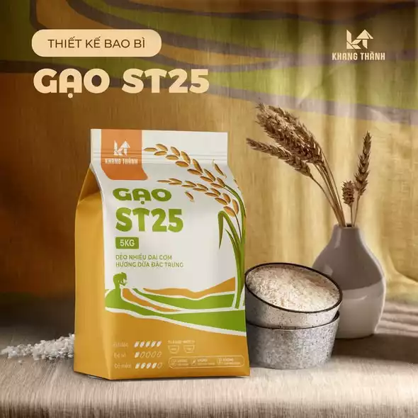 THIẾT KẾ BAO BÌ DỰ ÁN GẠO ST25