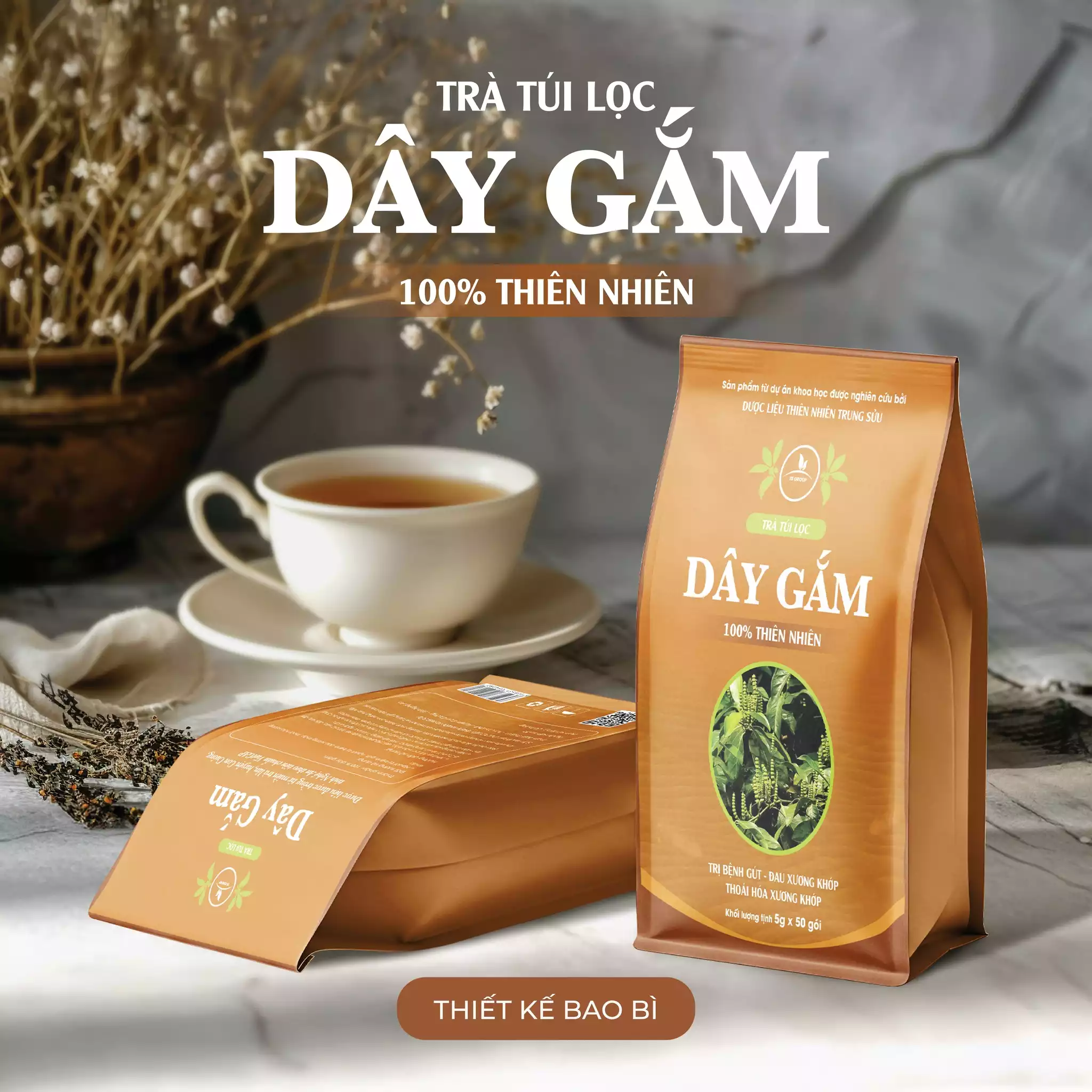 THIẾT KẾ BAO BÌ DỰ ÁN TRÀ DÂY GẮM