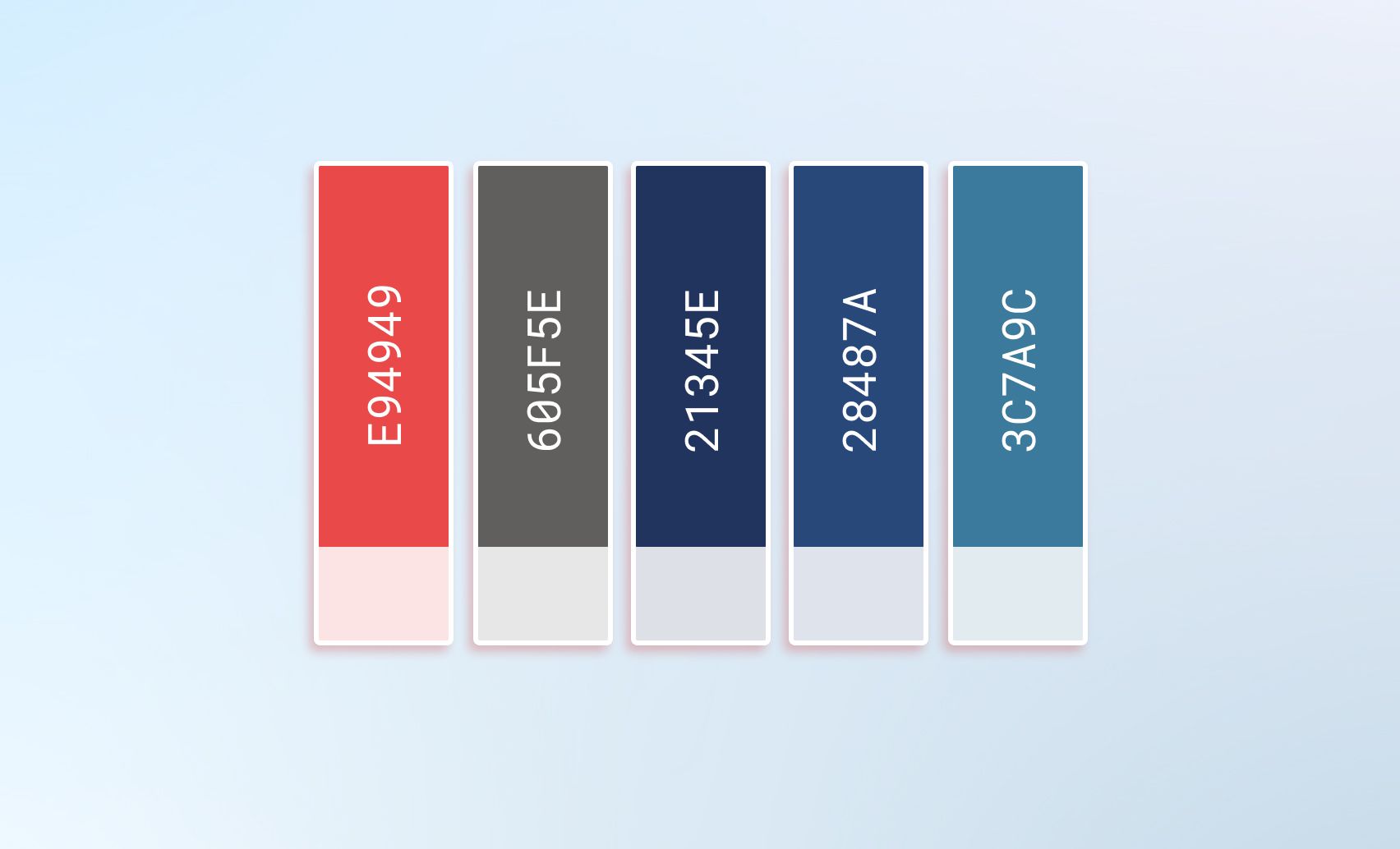 bảng màu Tết 2024 2.jpg