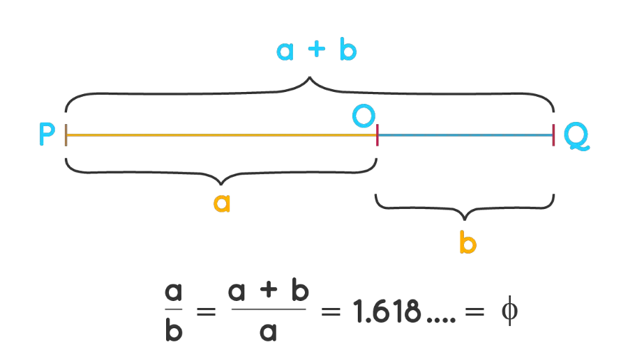 tỉ lệ vàng trong thiết kế 2.png