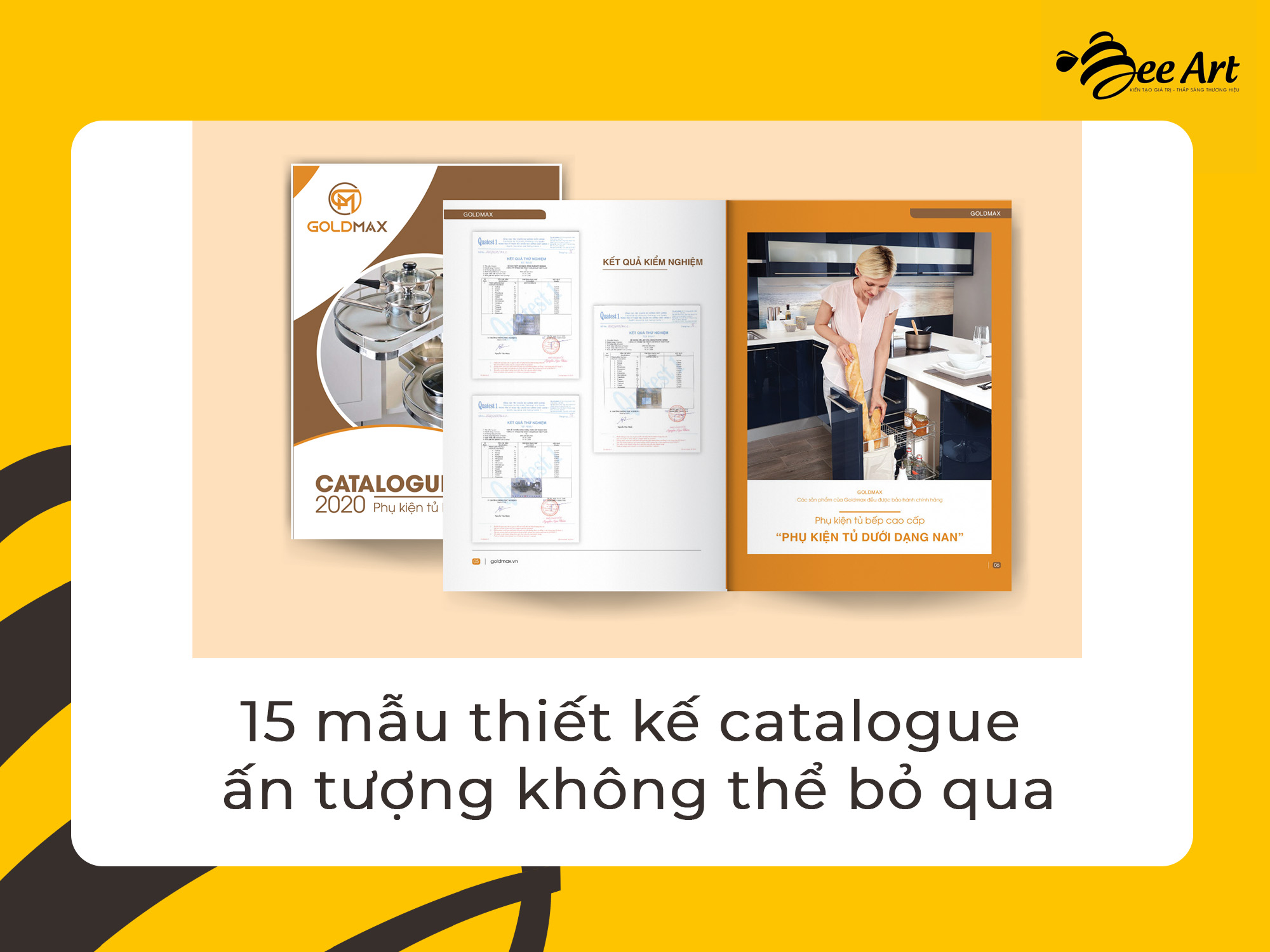 thiet ke catalogue 1.jpg