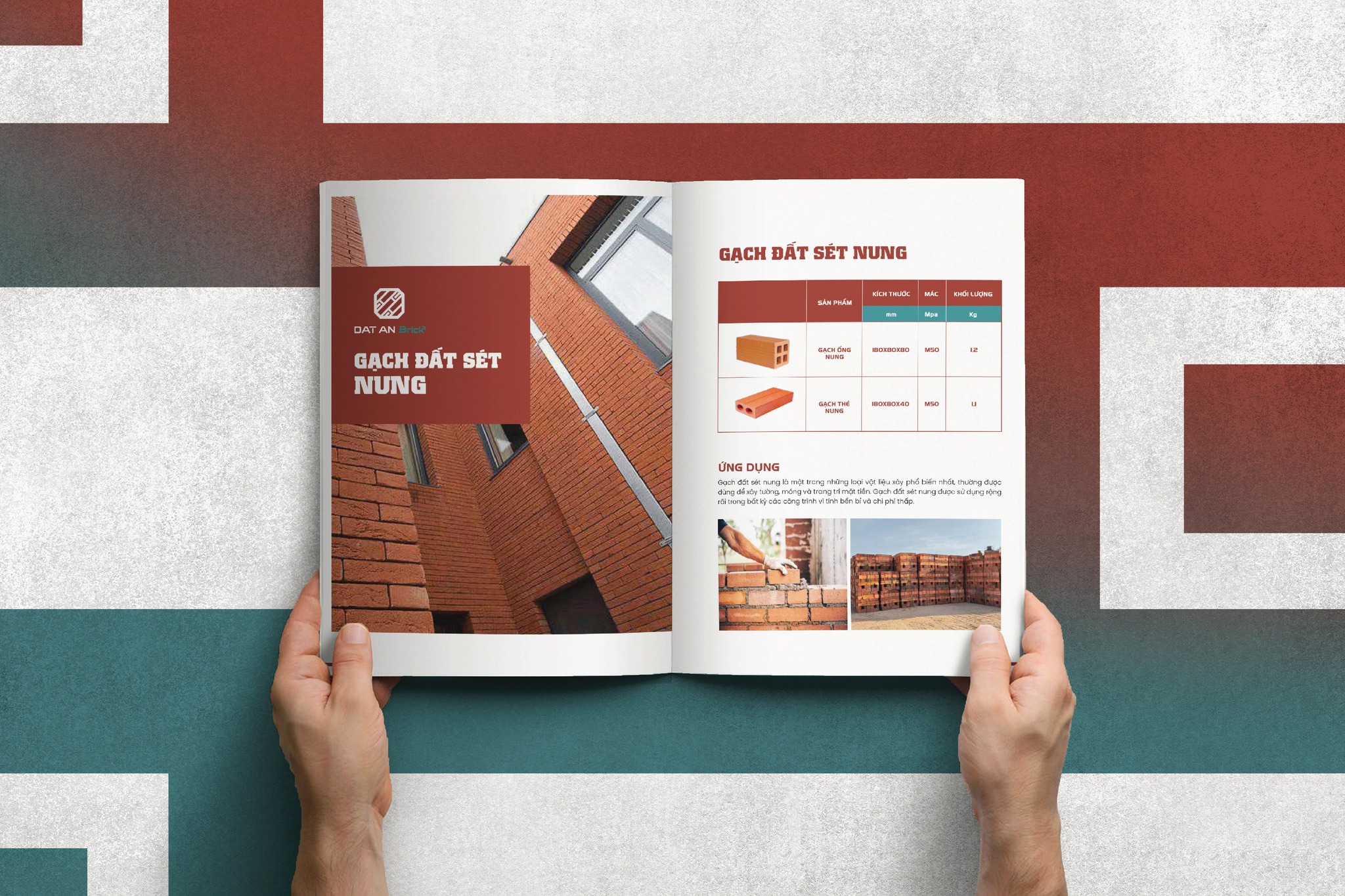 thiet ke catalogue 2.jpg