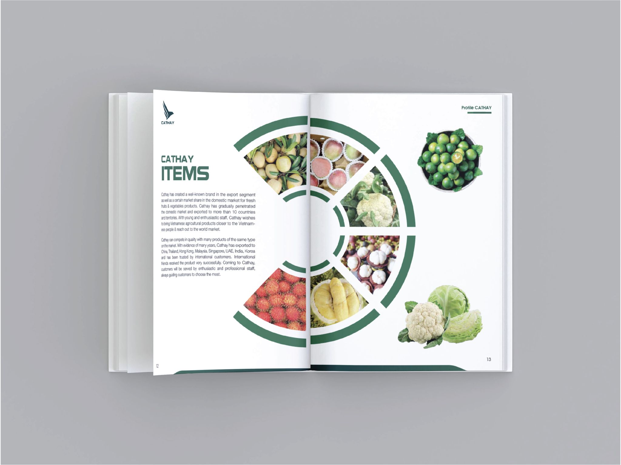 thiet ke catalogue 3.jpg