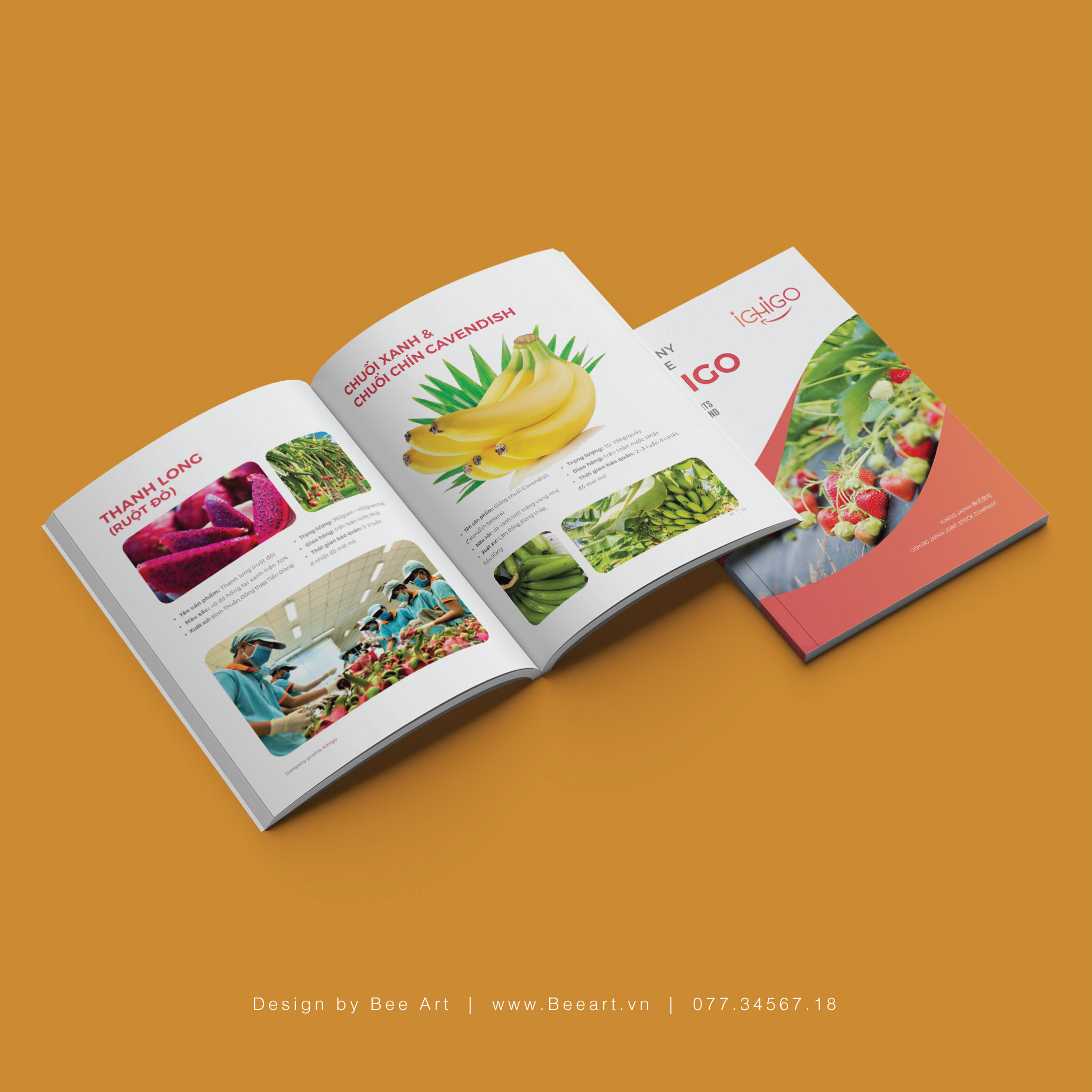 thiet ke catalogue 9.jpg