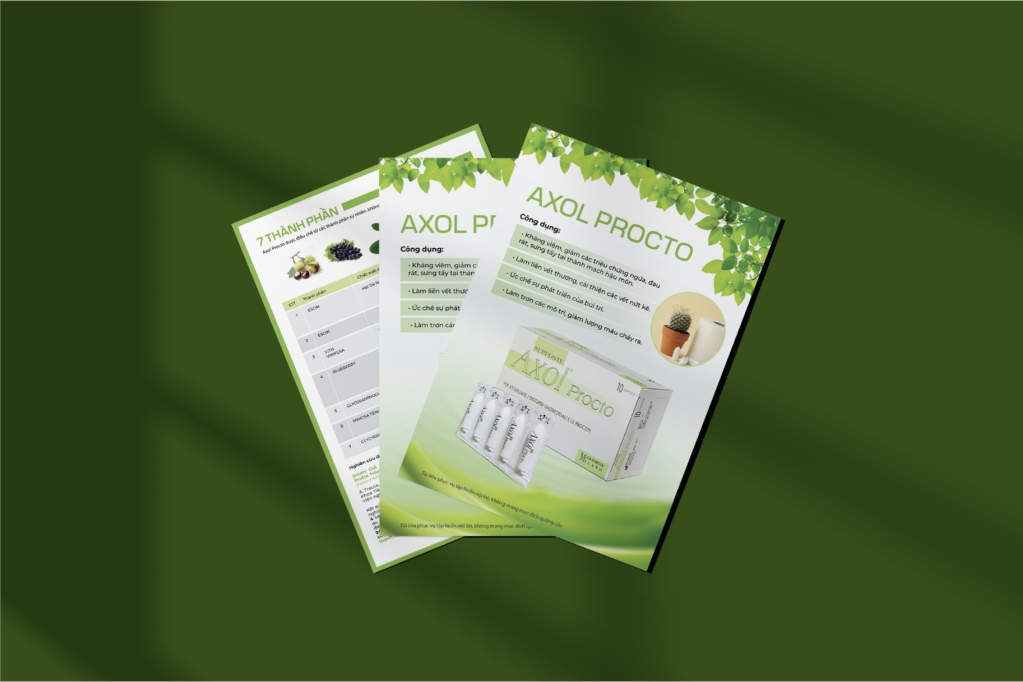 thiet ke brochure 8.jpg