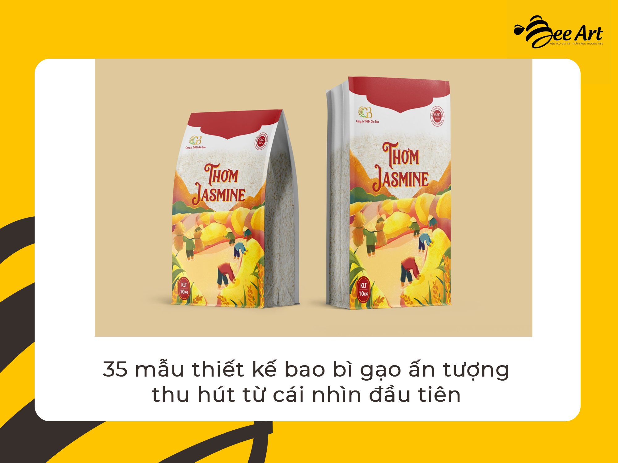 thiet ke bao bi gao 1.jpg